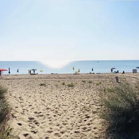 Campsite Beach Camp